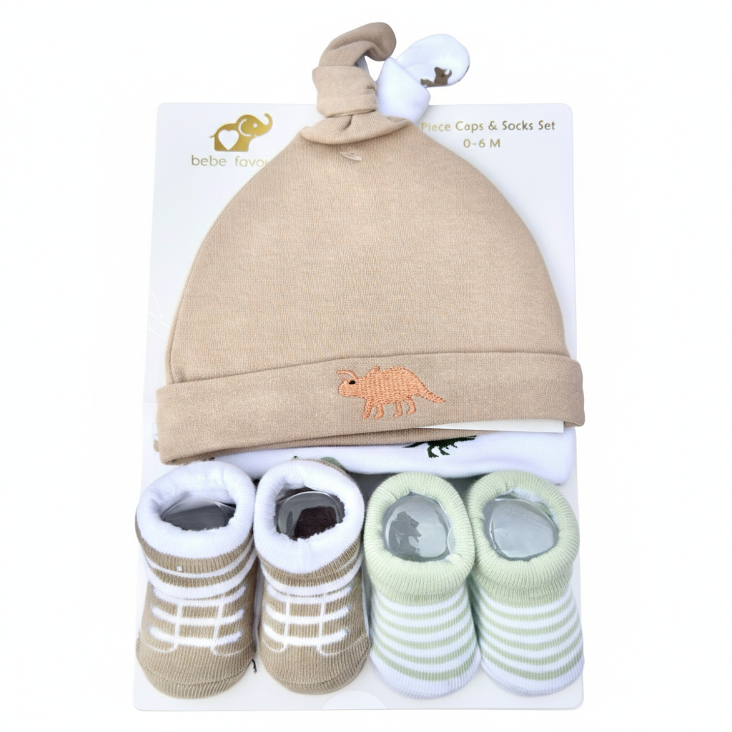 Dino 4 Piece Cap With Booties