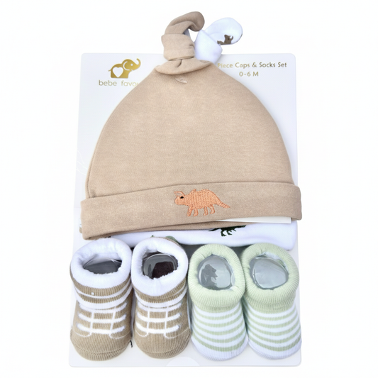 Dino 4 Piece Cap With Booties